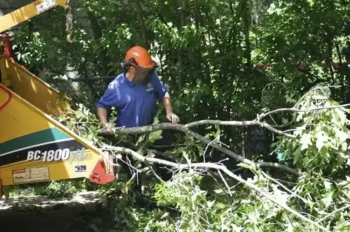tree services Summit